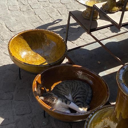 Villa Louisa Piscine Privee Sans Vis A Vis Dyar Shemsi Taroudant Buitenkant foto