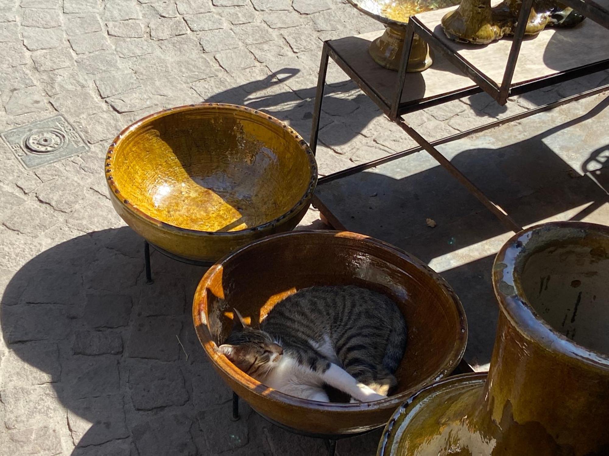 Villa Louisa Piscine Privee Sans Vis A Vis Dyar Shemsi Taroudant Buitenkant foto